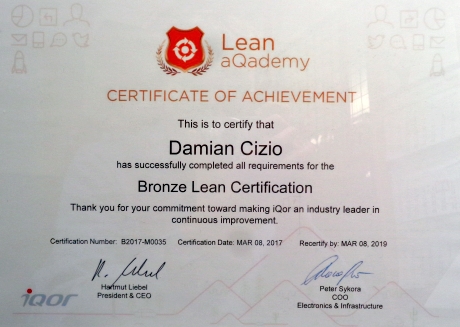 LSS Bronze Lean Certification